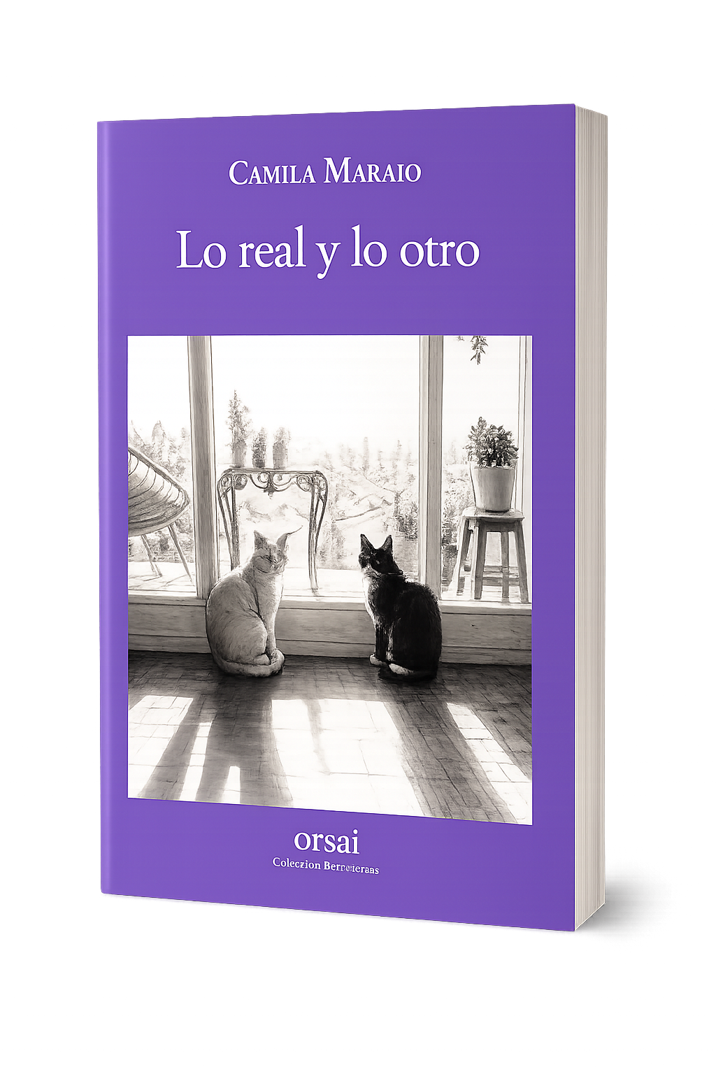 Lo real y lo otro